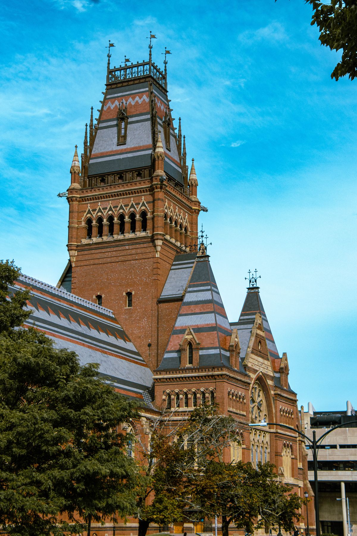 哈佛大学