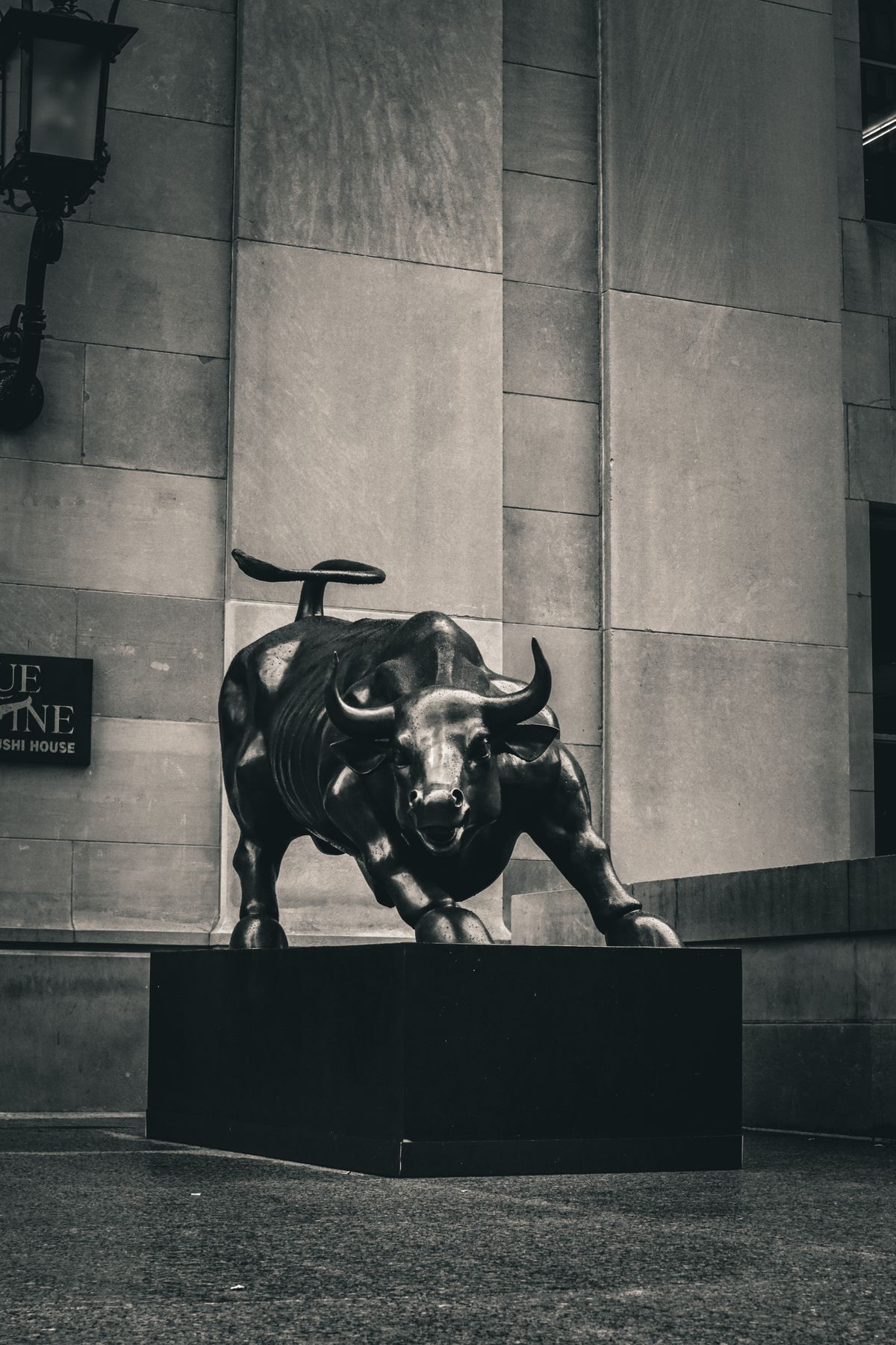 华尔街铜牛 Charging Bull
